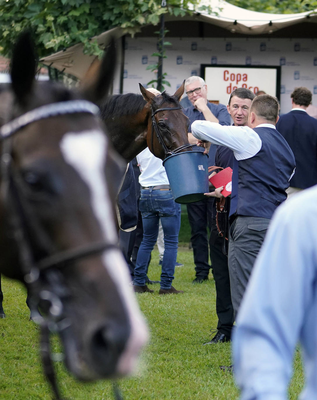 Fotos: ‘Amazing Red’ gana la Copa de Oro de San Sebastián