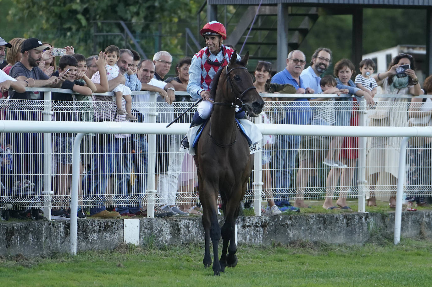 Fotos: ‘Amazing Red’ gana la Copa de Oro de San Sebastián