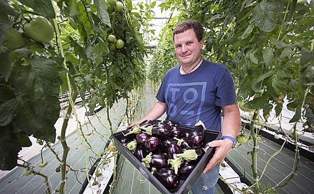 Unai sostiene los últimos ejemplares de berejena recolectados de su invernadero de verano. 