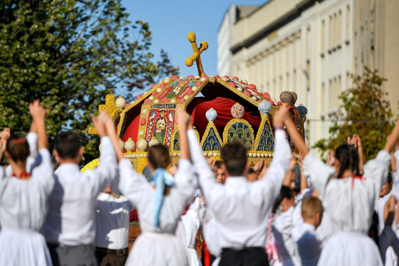 Fotos: Las carrozas florales visten Hungría