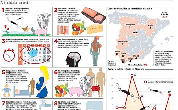 Tres personas fallecieron el pasado año en Gipuzkoa a causa de la listeriosis tras notificarse 15 casos