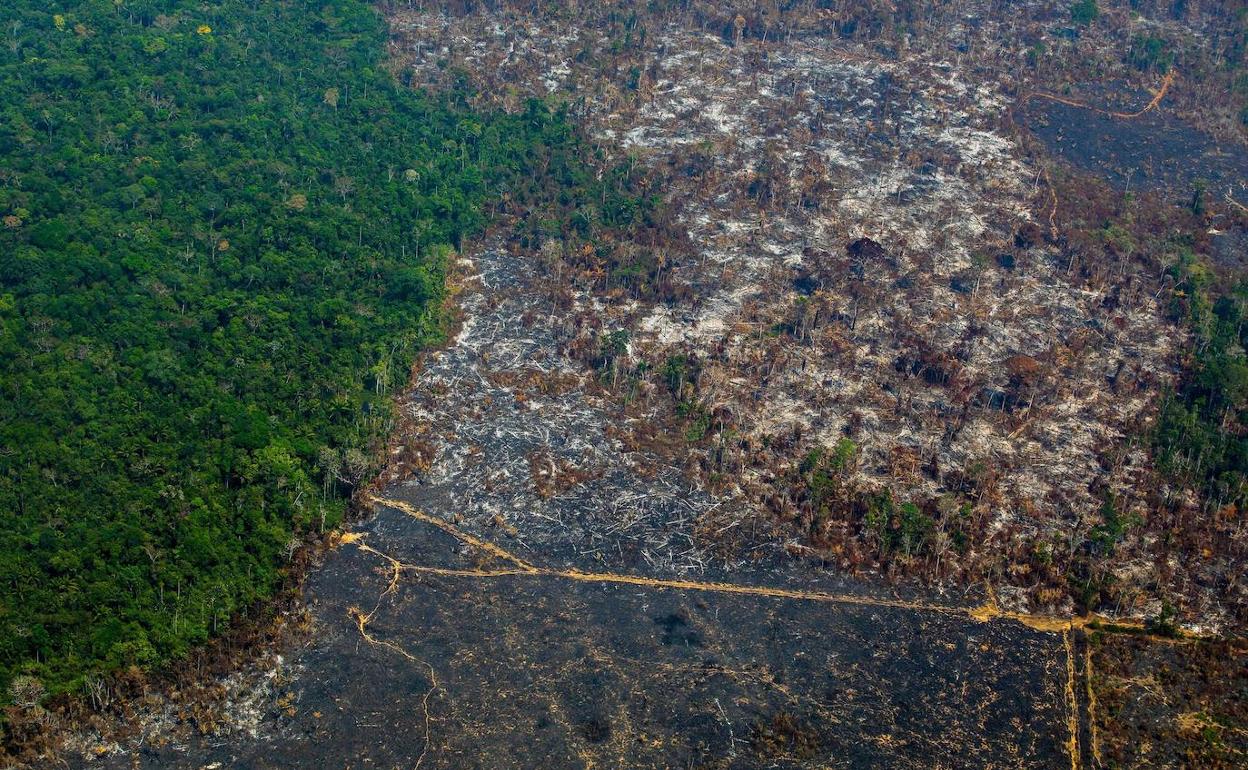 Vista aérea de la deforestación en la Reserva Biológica Nascentes da Serra do Cachimbo en Altamira, estado de Pará, Brasil.