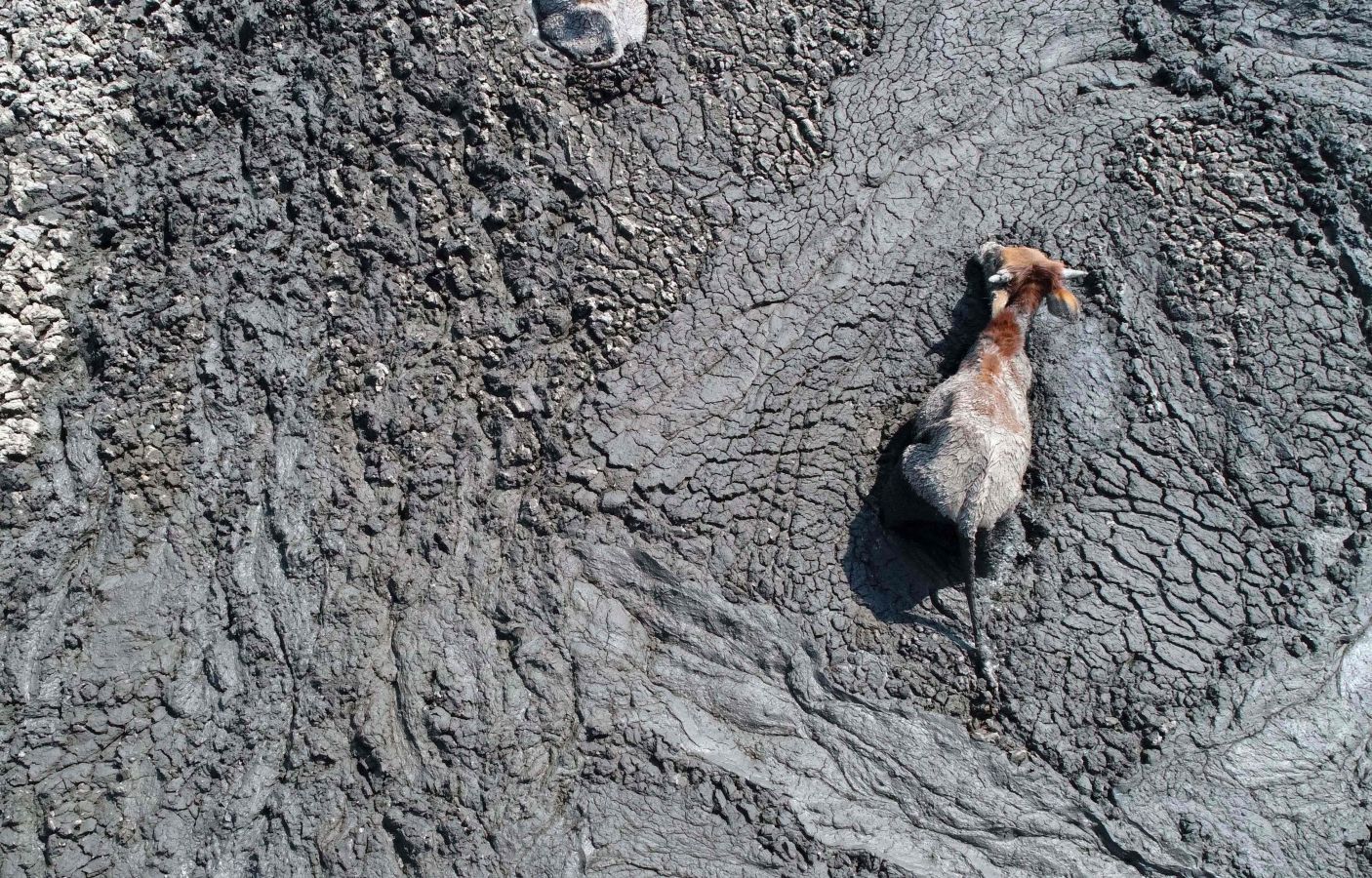 Fotos: De lago a barrizal