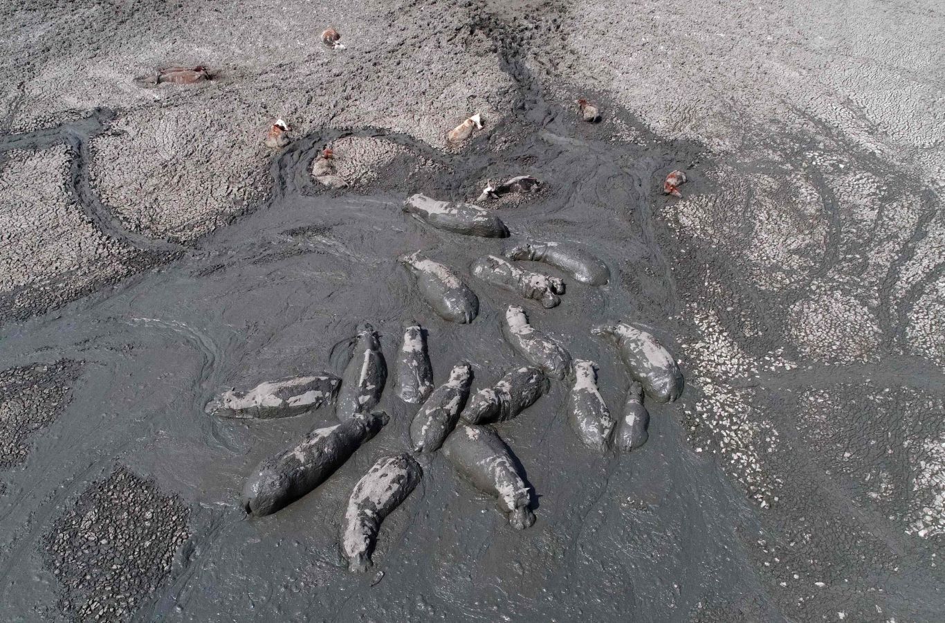 Fotos: De lago a barrizal