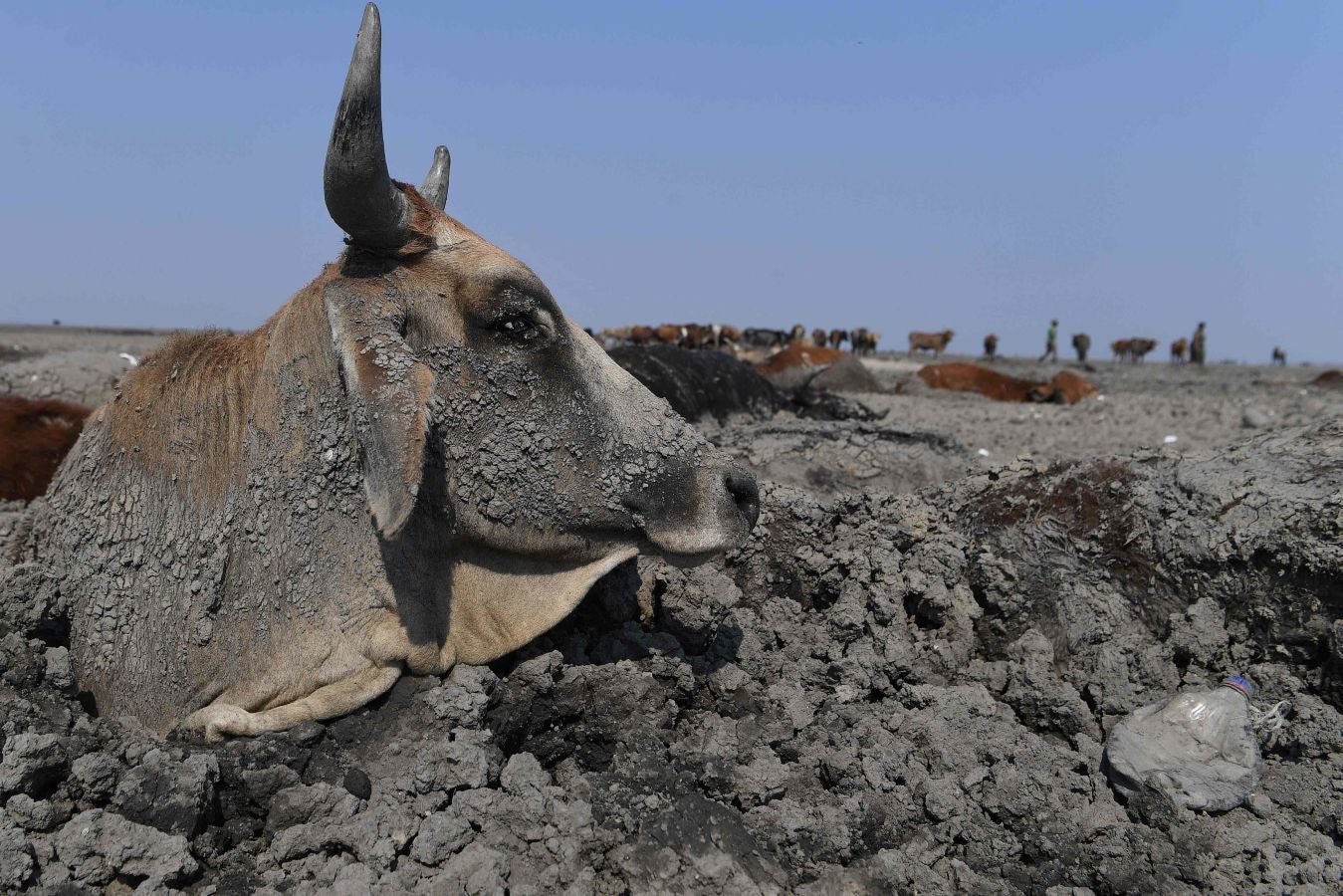 Fotos: De lago a barrizal