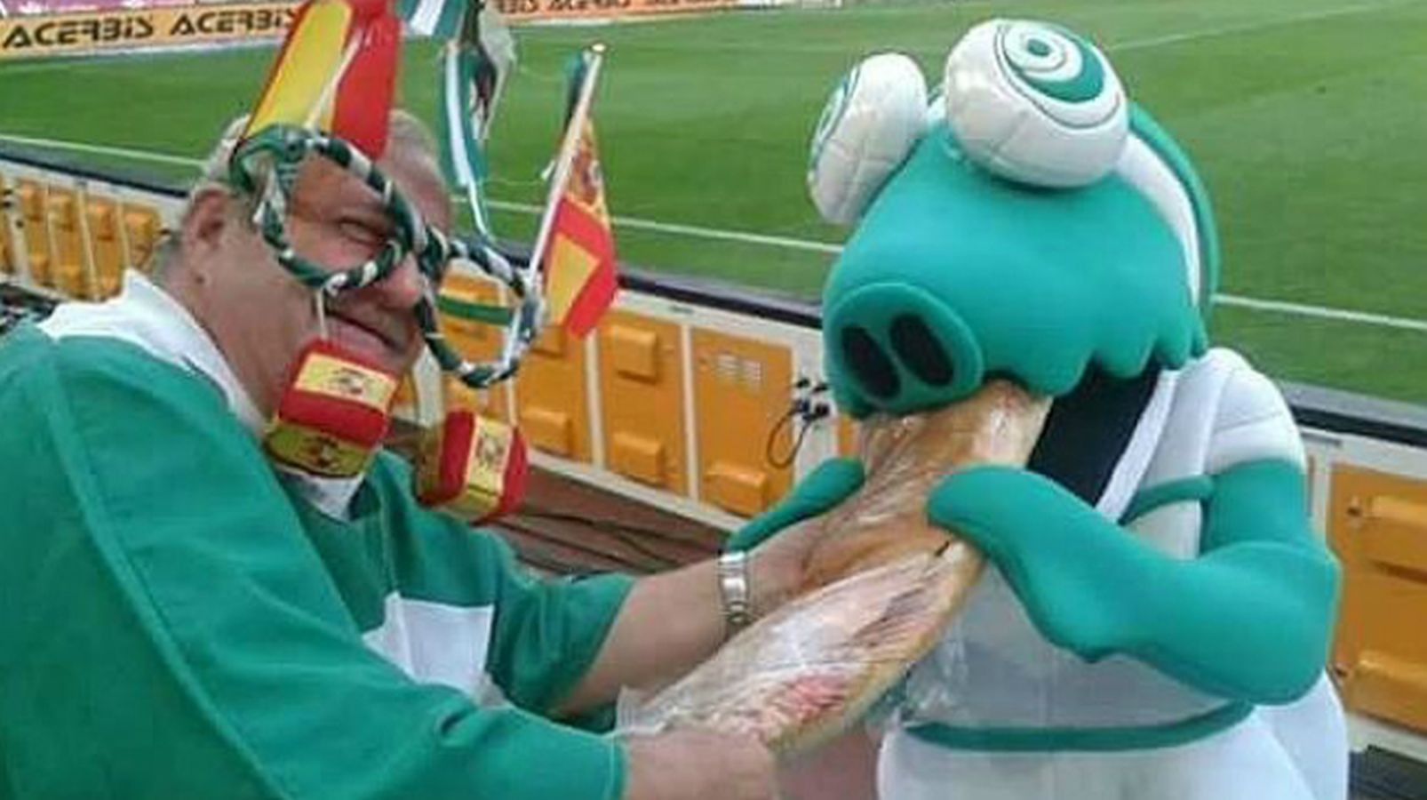 La mascota oficial del Córdoba Club de Fútbol se llama Koki y es un caiman creado por un socio de la Peña «El Sur»