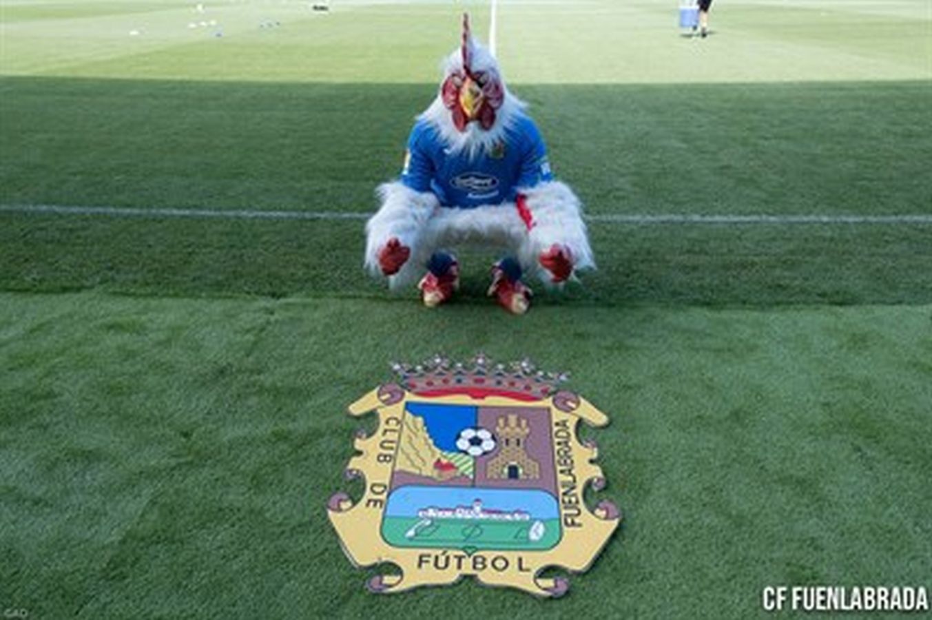 Lleva en el Club de Fútbol Fuenlabrada desde 2013, pero el gallo Kiriko sigue sin inspirar confianza por su aspecto.