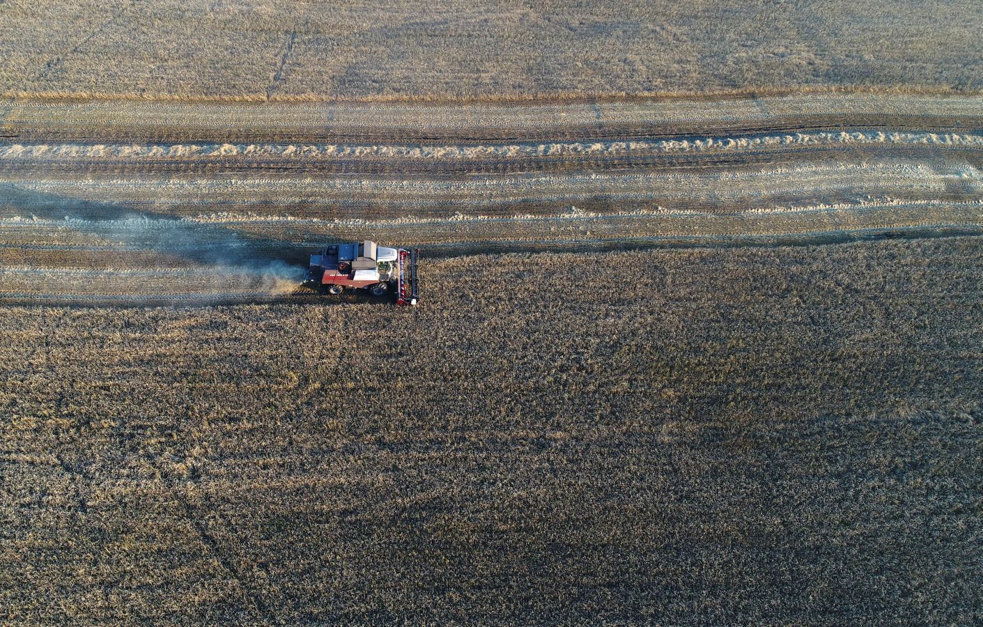 Una compañía trabaja las tierras en la región de Krasnoyarsk