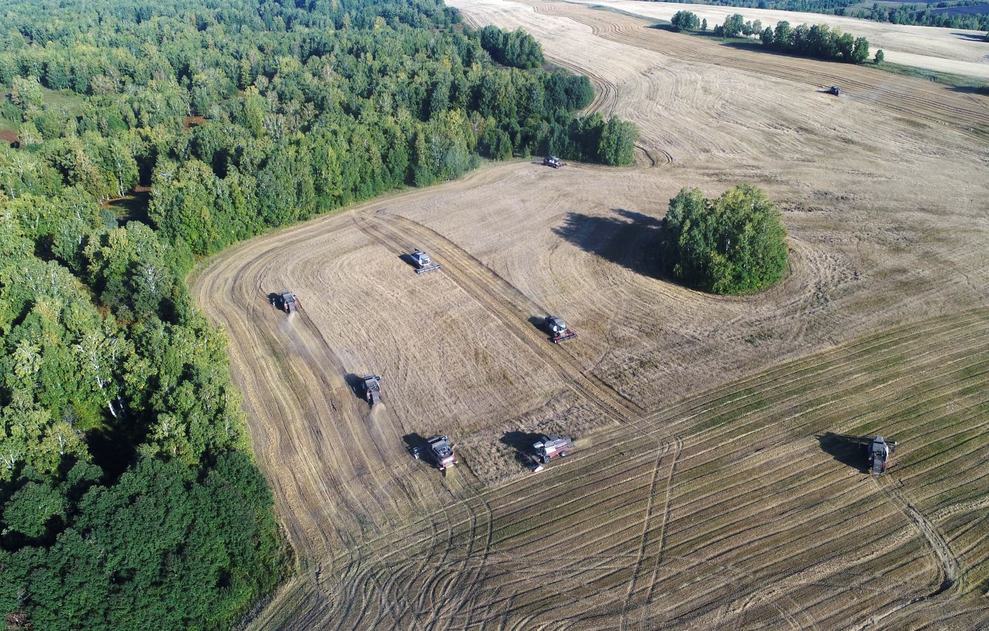 Una compañía trabaja las tierras en la región de Krasnoyarsk
