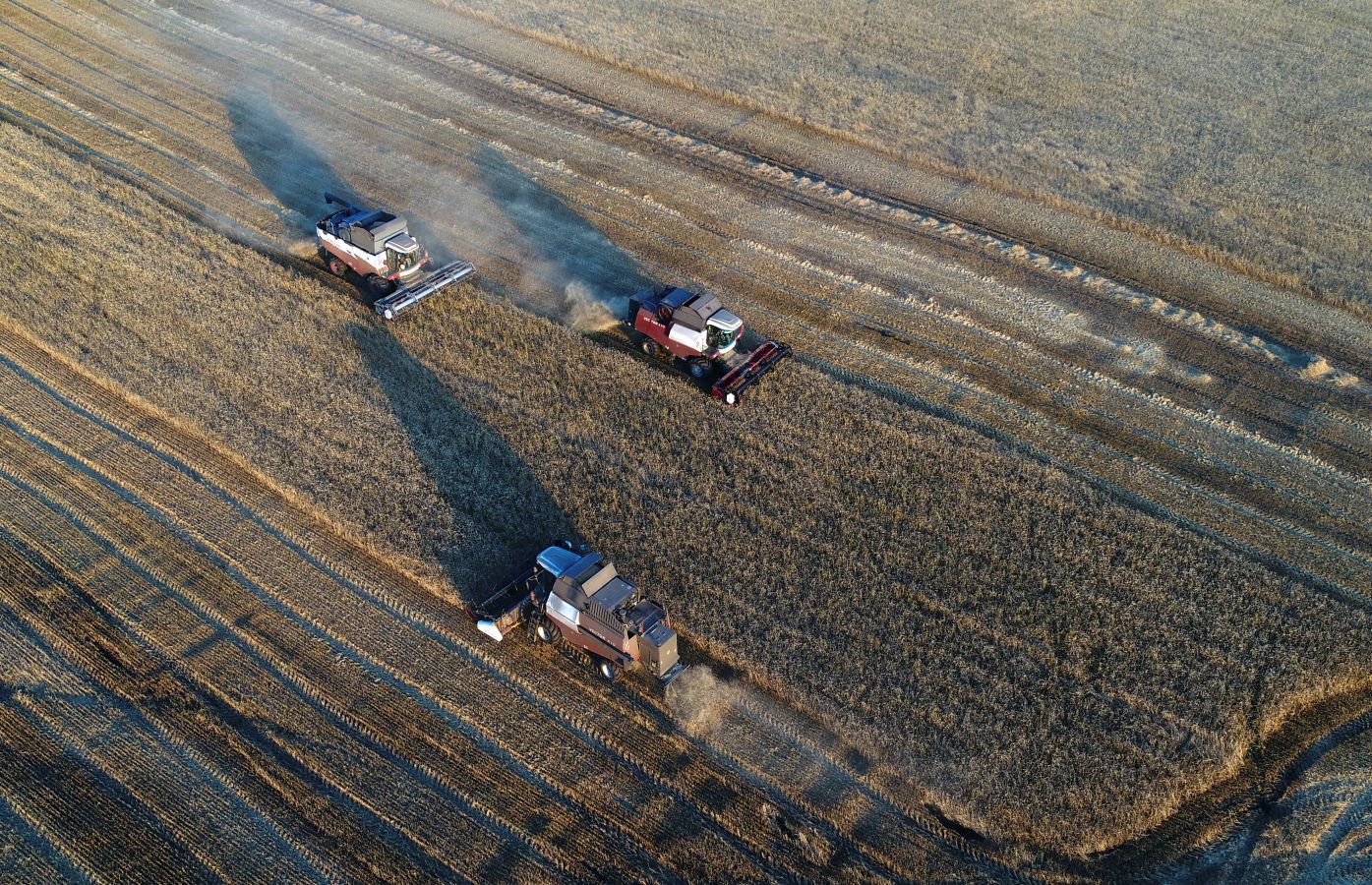 Una compañía trabaja las tierras en la región de Krasnoyarsk