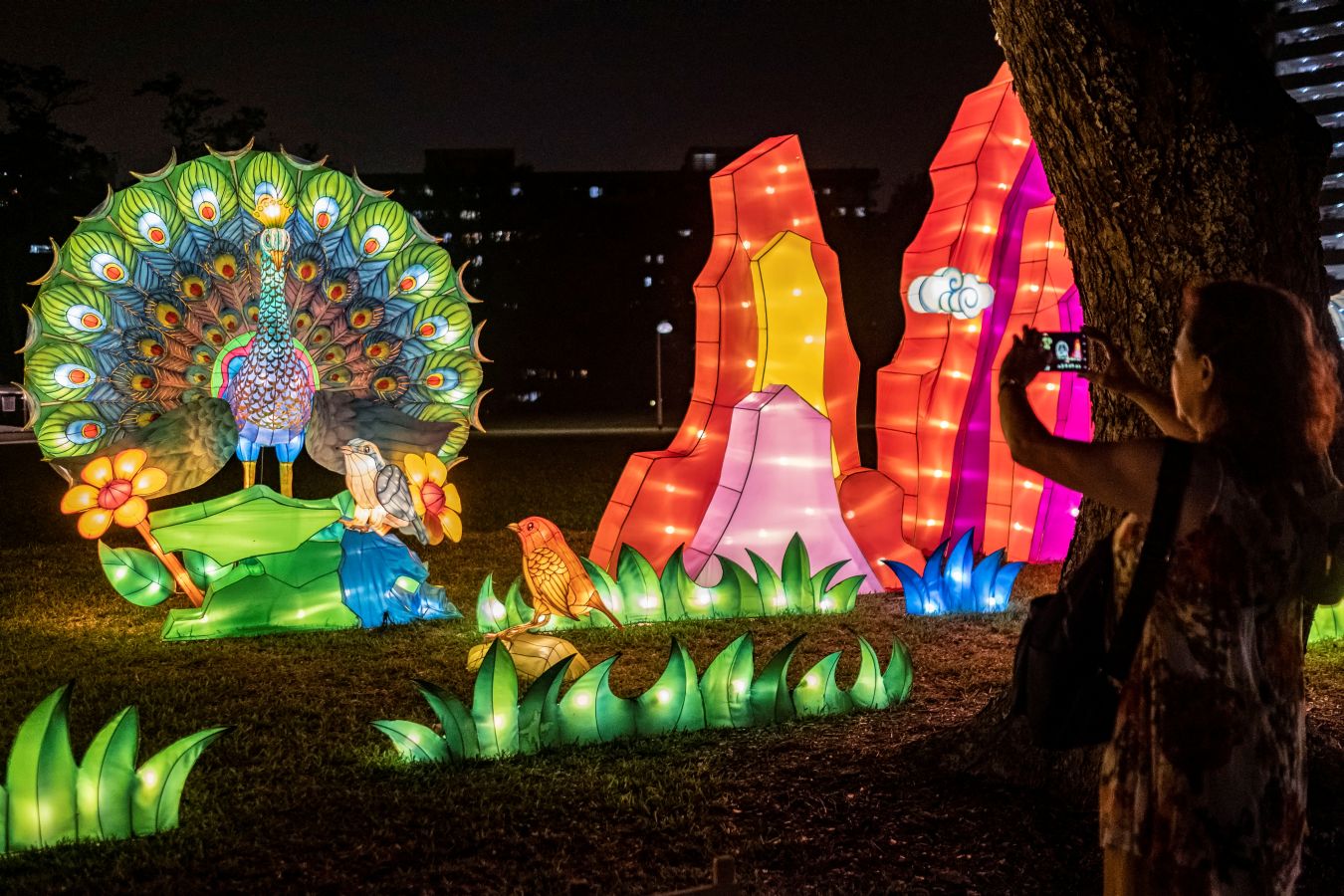 La luz y el color fueron los protagonistas durante la celebración del Festival Medio Otoño en el Jurong Lake Gardens.