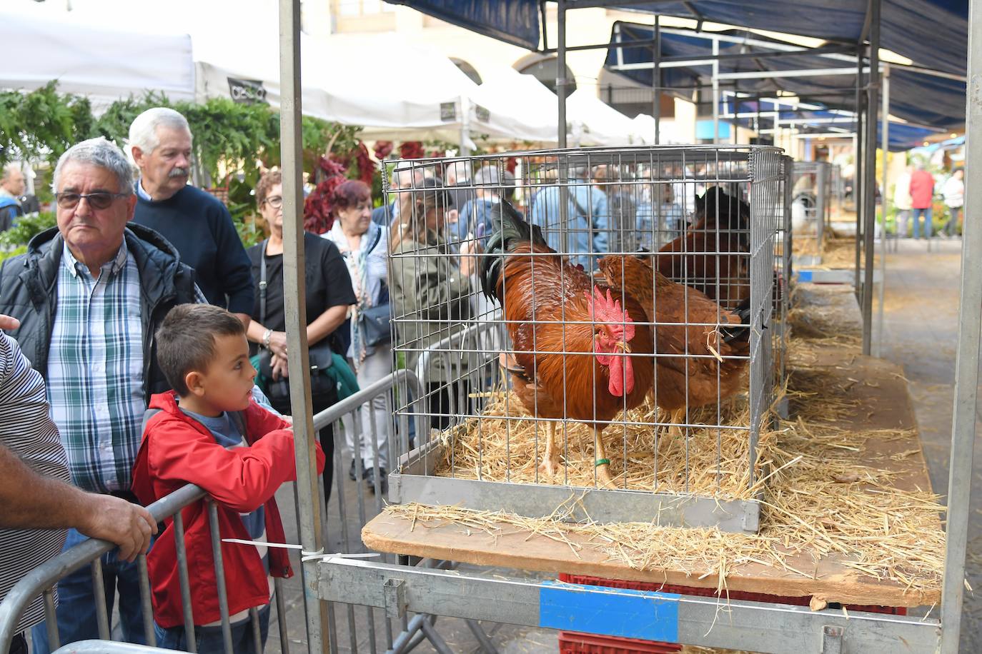 Ordizia celebra este miércoles la feria de las ferias de Gipuzkoa