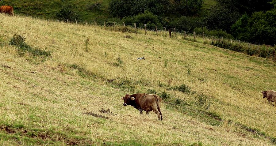 Fotos: El Flysch a vista de dron