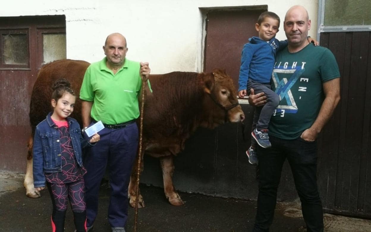 Perros pastor. Seis pastores y ocho perros tomaron parte en la final del Campeonato de Euskal Herria.
