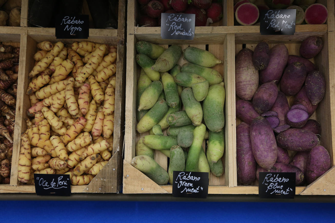 La influencia de Juan Sebastián Elcano en la tradición de la parrilla de Getaria, las palabras de Joan Roca, del tres estrellas Michelin El Celler de Can Roca (Girona), los hongos marinos descubiertos por el triestrellado Ángel León (Aponiente) o la reinvención de la tradición colombiana a cargo de Leonor Espinosa han destacado este martes en la segunda jornada de San Sebastian Gastronomika