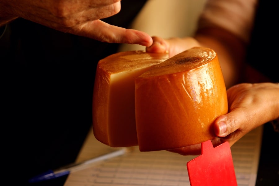 Fotos: Julen Arburua se lleva la txapela en Idiazabal