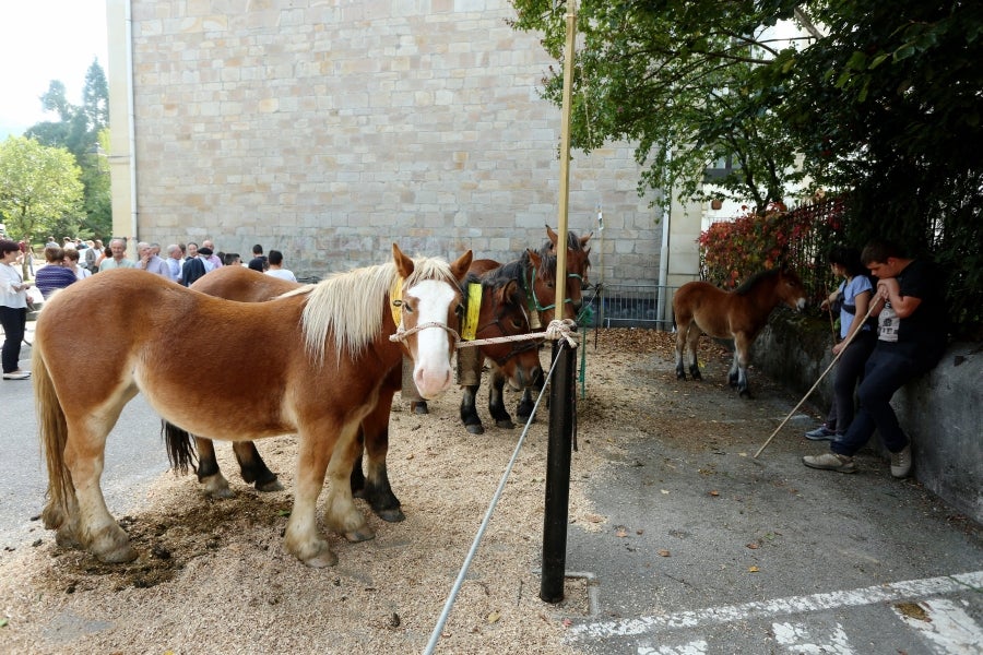 Fotos: Julen Arburua se lleva la txapela en Idiazabal