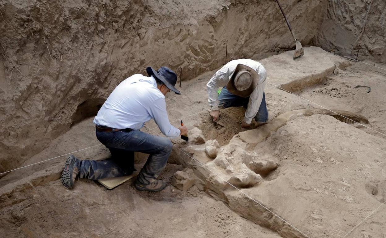 Expertos del Instituto Nacional de Antropología e Historia (INAH) trabajan en el hallazgo de restos fósiles del mastodonote milenario.