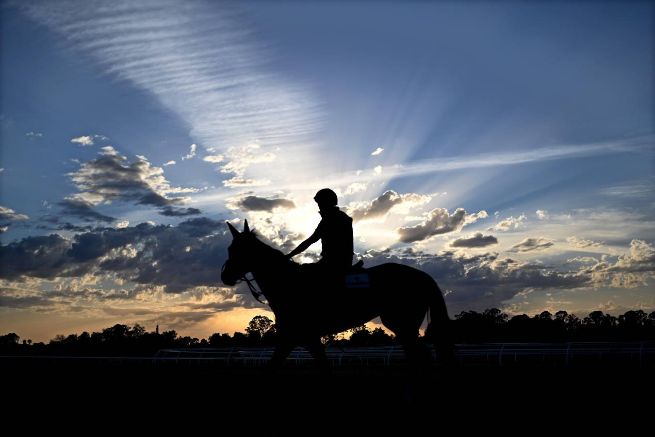 En Australia preparan a los caballos de carreras para que sean lo más rápidos posible. 