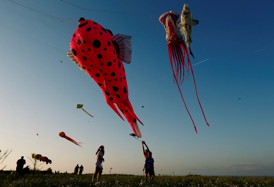 Fotos: Vuelo de las cometas