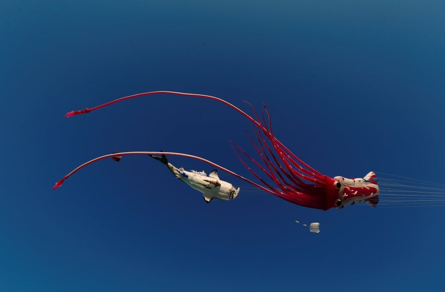 Fotos: Vuelo de las cometas