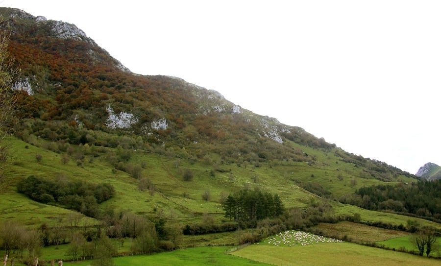 Fotos: «En Aralar se está mucho mejor»