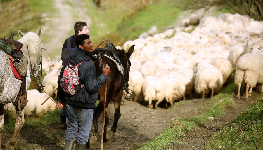 Fotos: «En Aralar se está mucho mejor»