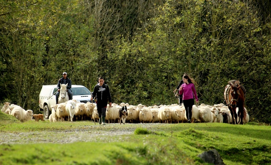 Fotos: «En Aralar se está mucho mejor»