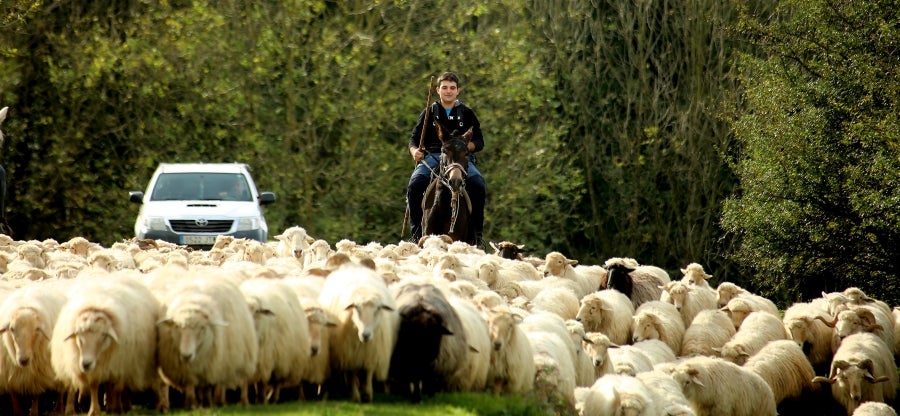 Fotos: «En Aralar se está mucho mejor»
