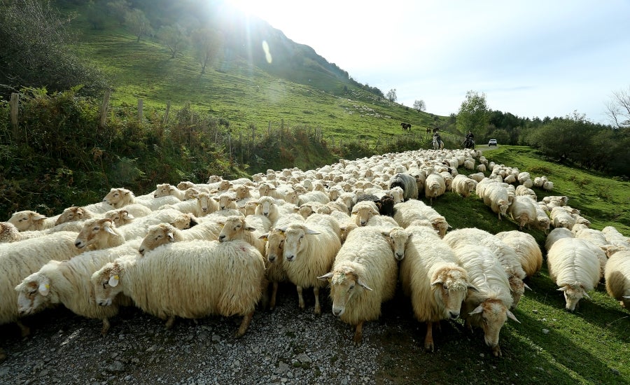 Fotos: «En Aralar se está mucho mejor»