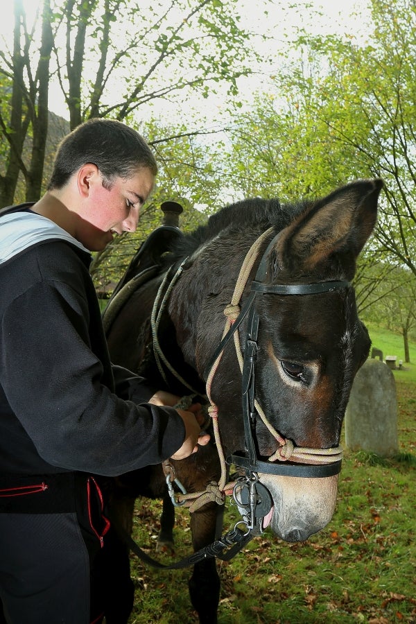 Fotos: «En Aralar se está mucho mejor»