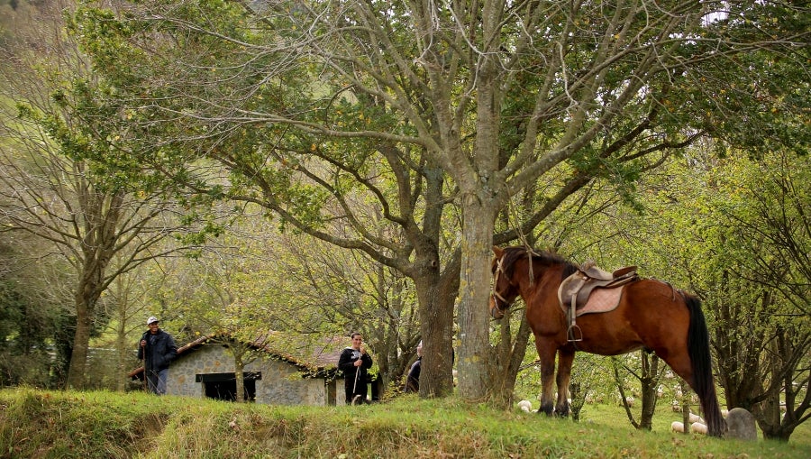 Fotos: «En Aralar se está mucho mejor»