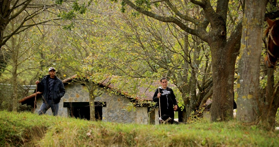 Fotos: «En Aralar se está mucho mejor»