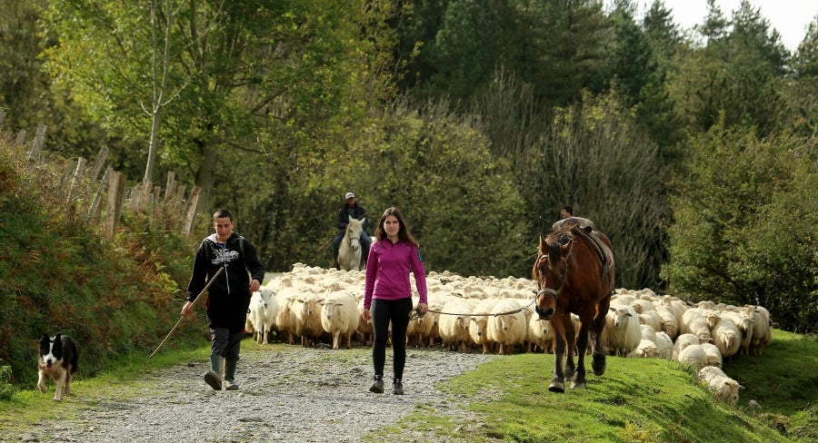 Fotos: «En Aralar se está mucho mejor»