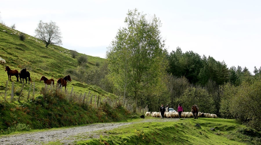 Fotos: «En Aralar se está mucho mejor»