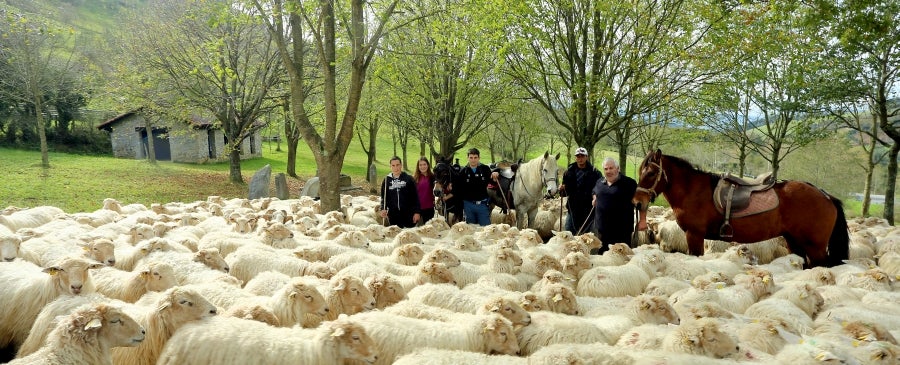 Fotos: «En Aralar se está mucho mejor»
