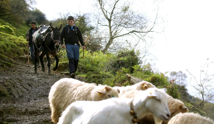 Fotos: «En Aralar se está mucho mejor»