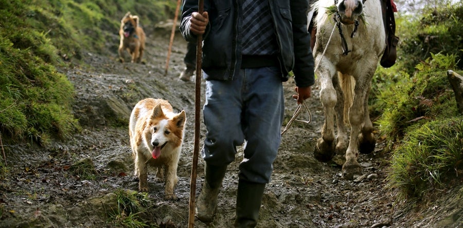 Fotos: «En Aralar se está mucho mejor»