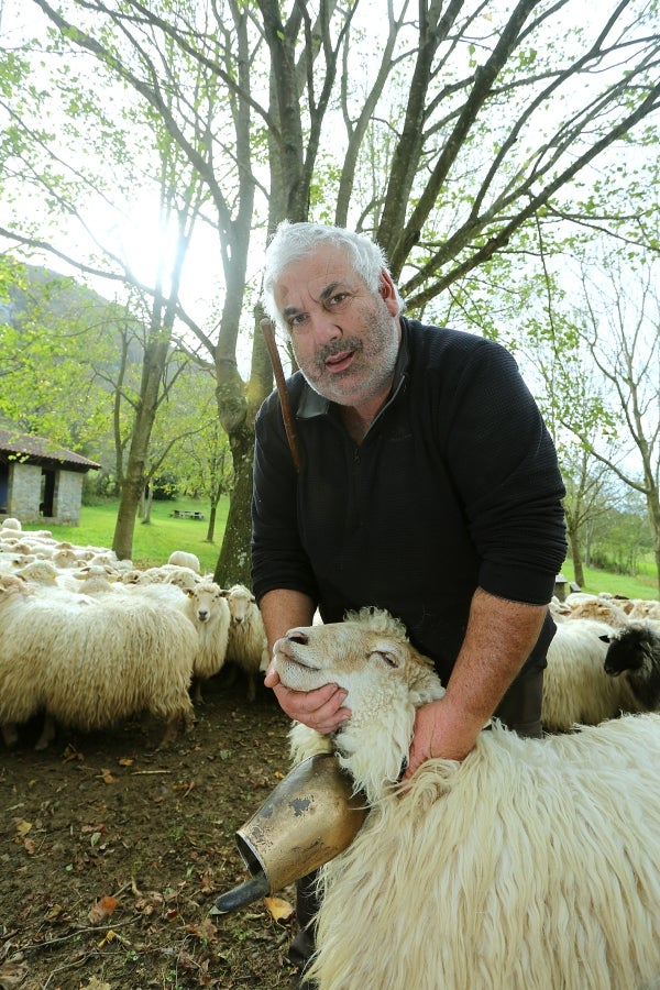 Fotos: «En Aralar se está mucho mejor»