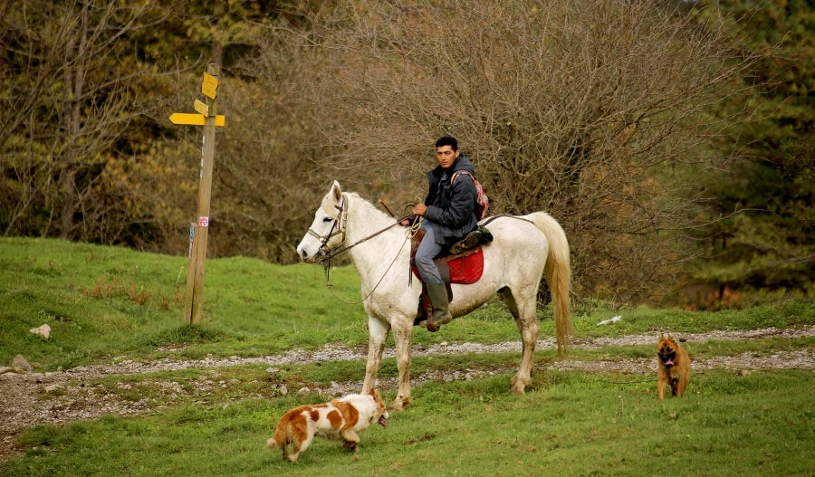 Fotos: «En Aralar se está mucho mejor»