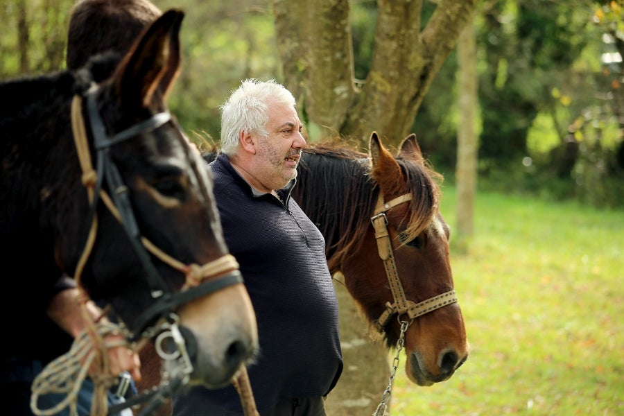 Fotos: «En Aralar se está mucho mejor»