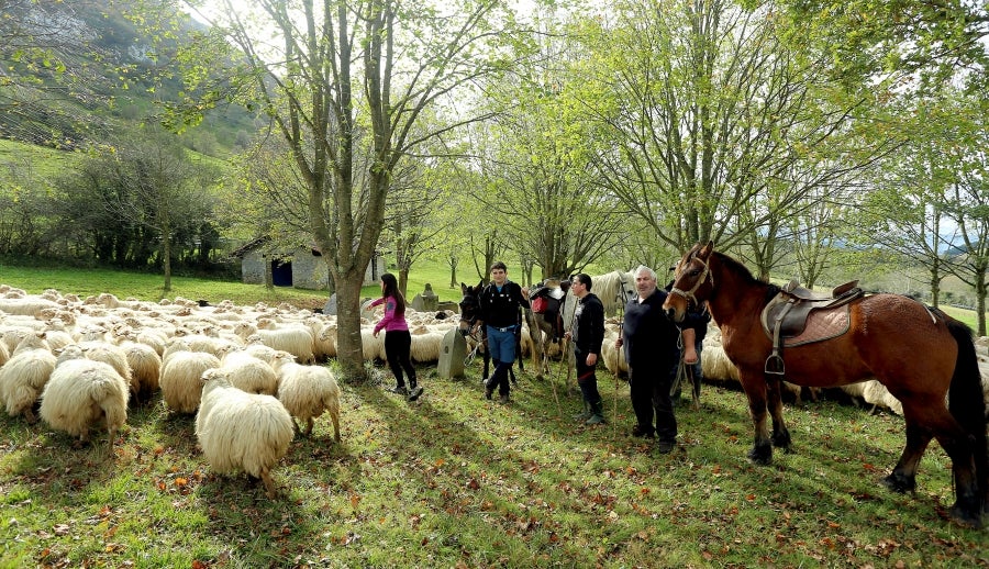 Fotos: «En Aralar se está mucho mejor»