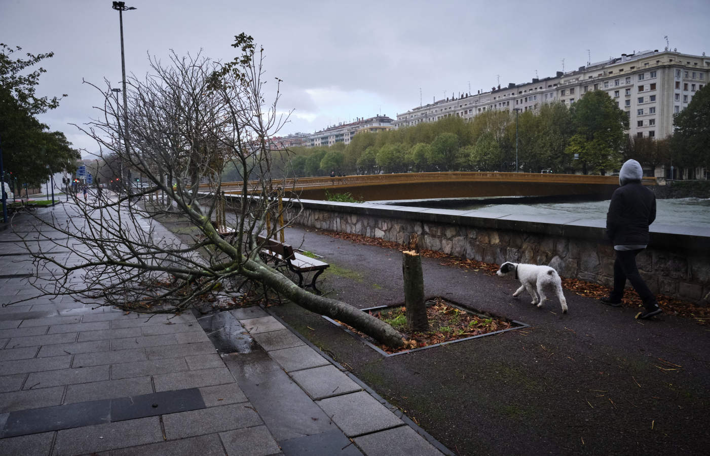 Fotos: El temporal de viento y olas deja numerosas incidencias en Gipuzkoa