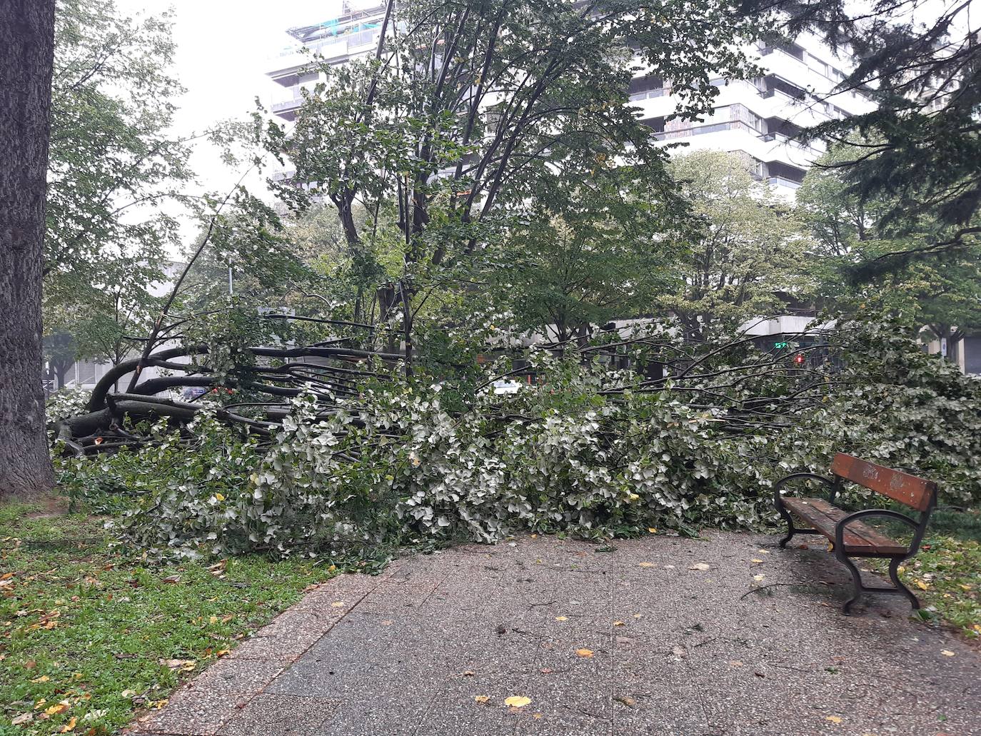 Fotos: El temporal de viento y olas deja numerosas incidencias en Gipuzkoa