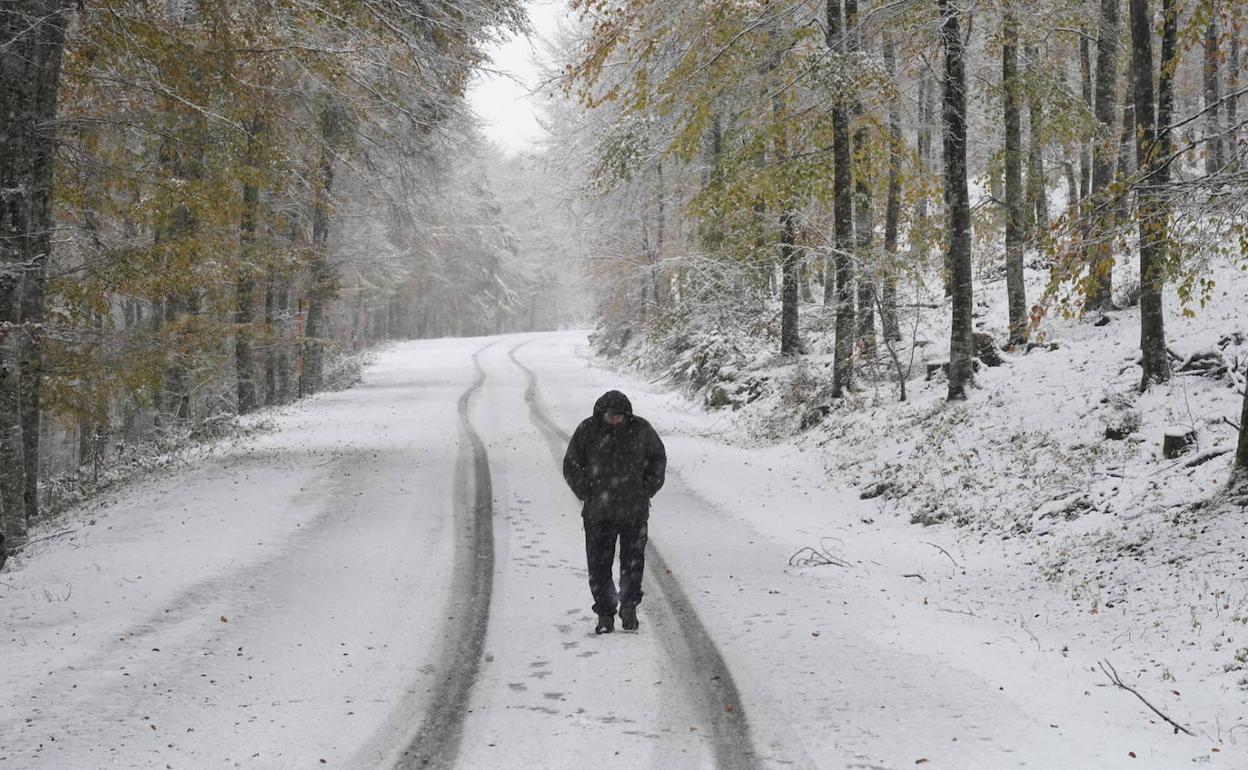 Las primeras nevadas hna llegado a Aralar. 