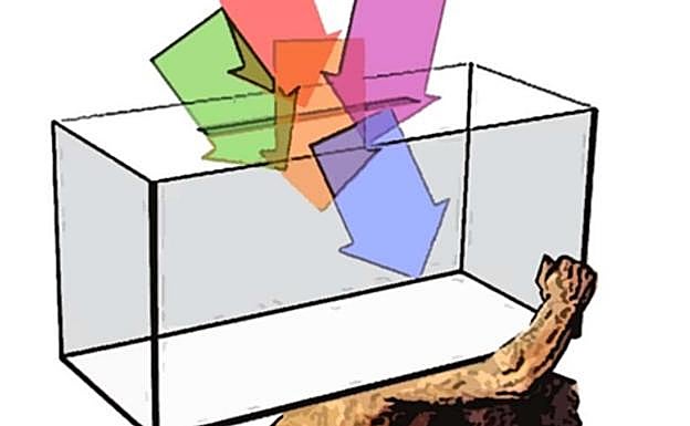 La hora de la verdad