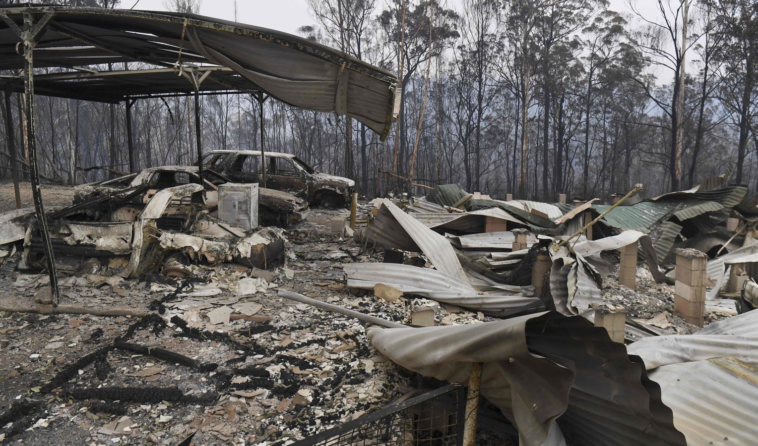 Fotos: Australia, devorada por las llamas