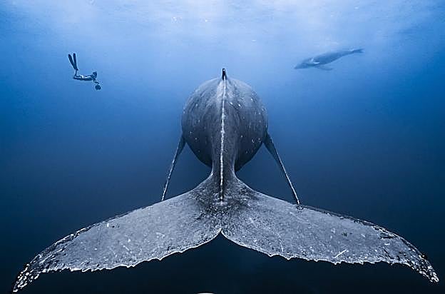 Una de las fotografías ganadoras. 