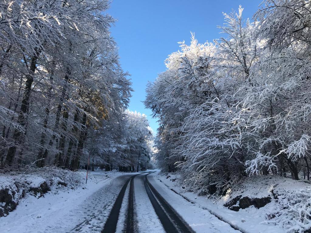 Fotos: Aralar, cubierta de blanco
