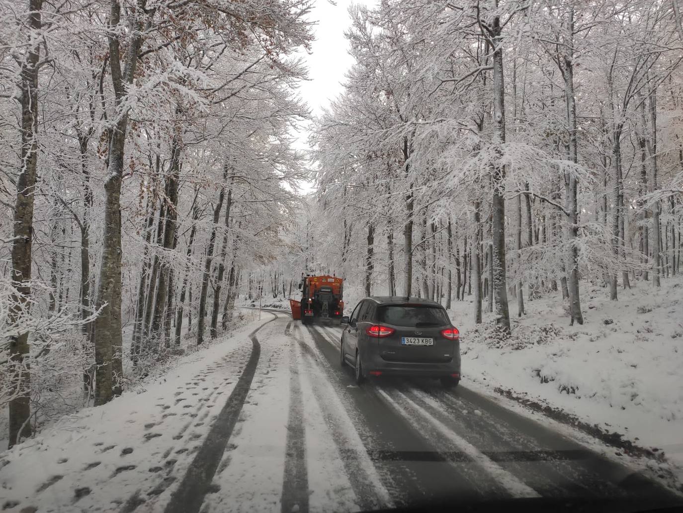 Fotos: Aralar, cubierta de blanco